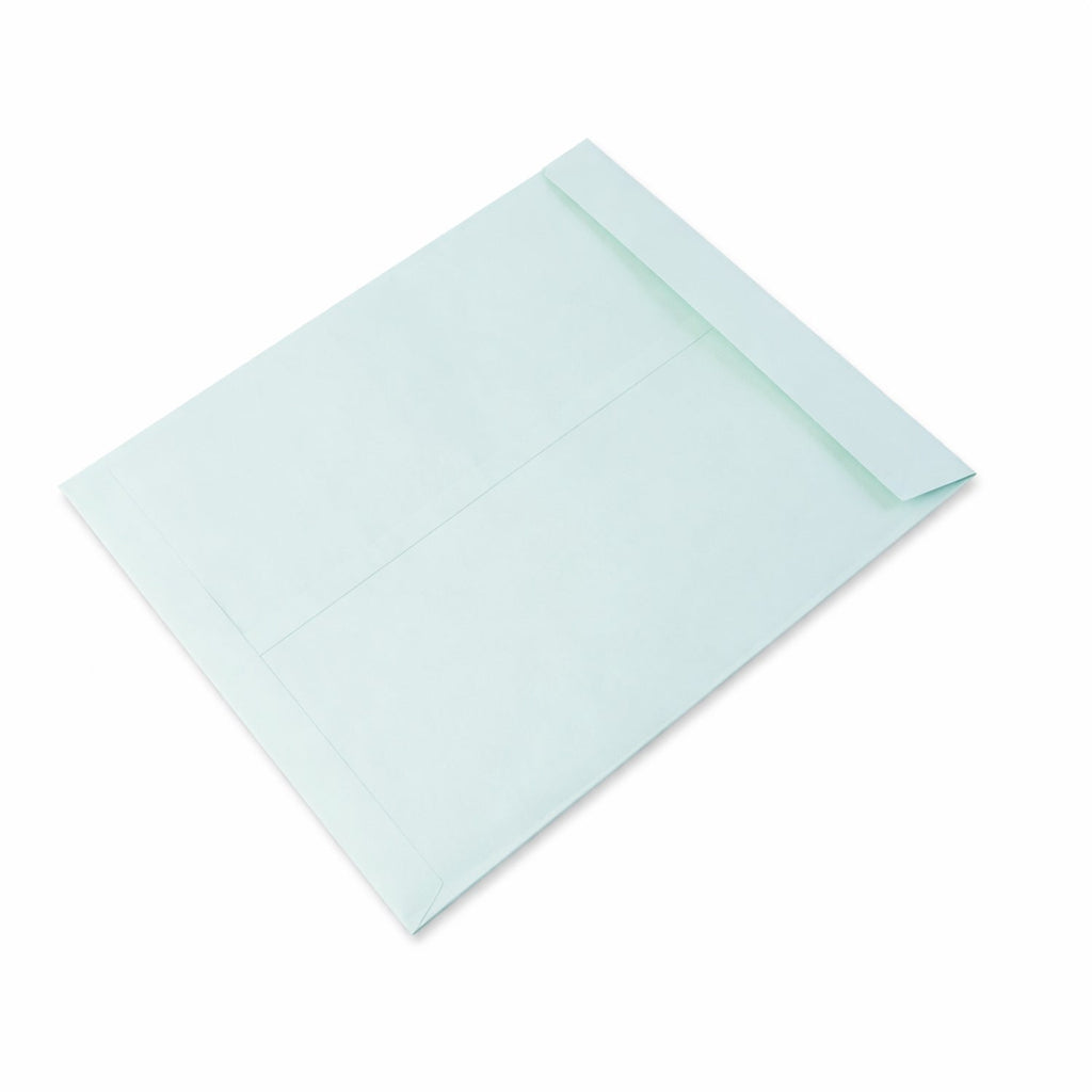 Large stationery envelope for document organization