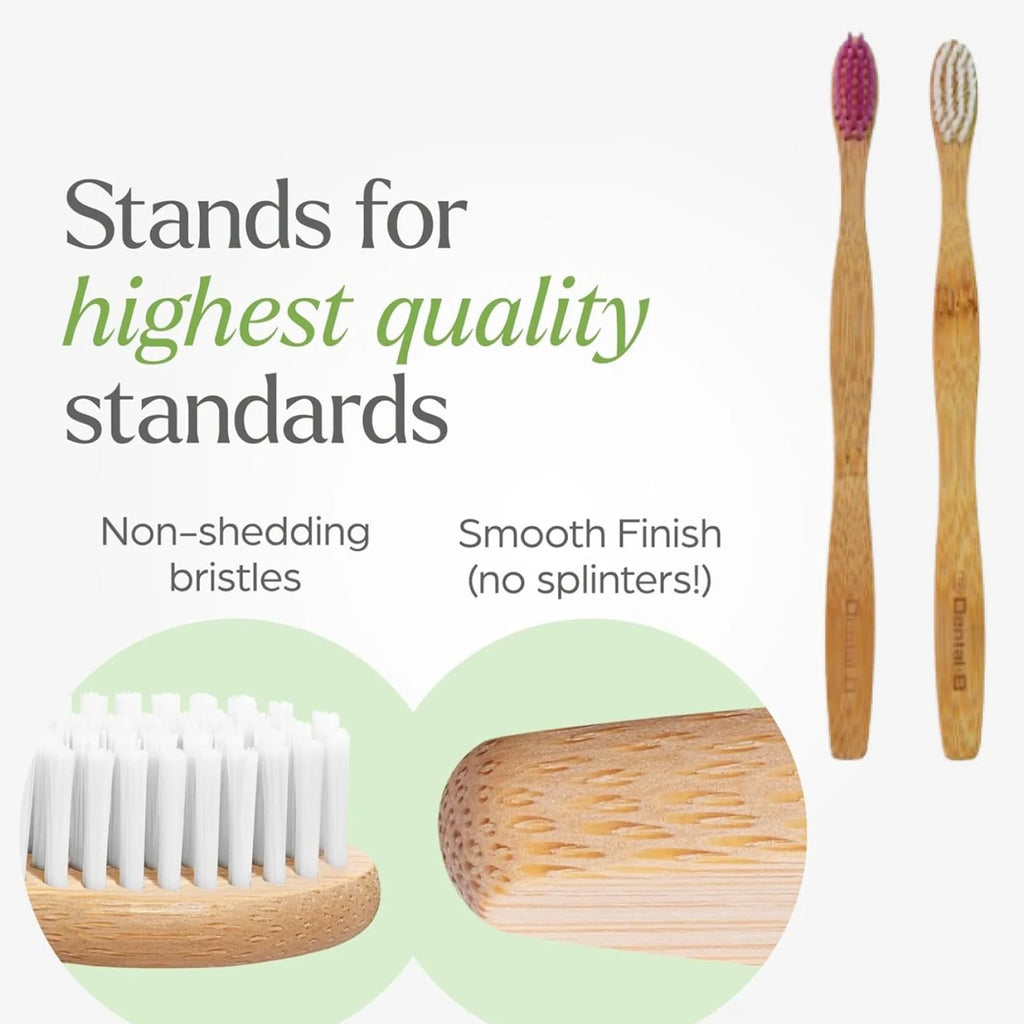 Toothbrush holder details in home bathroom setting
