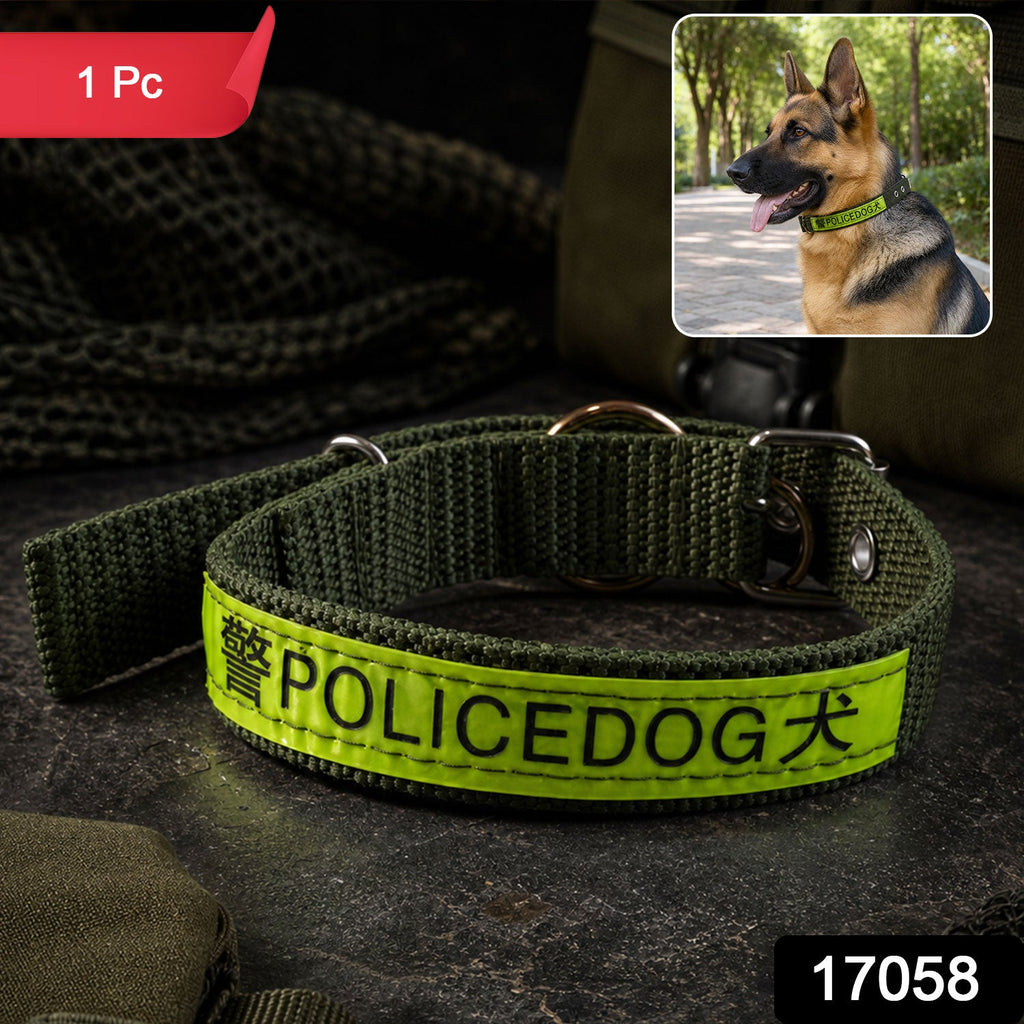 Packaging for a reflective heavy duty nylon dog collar.