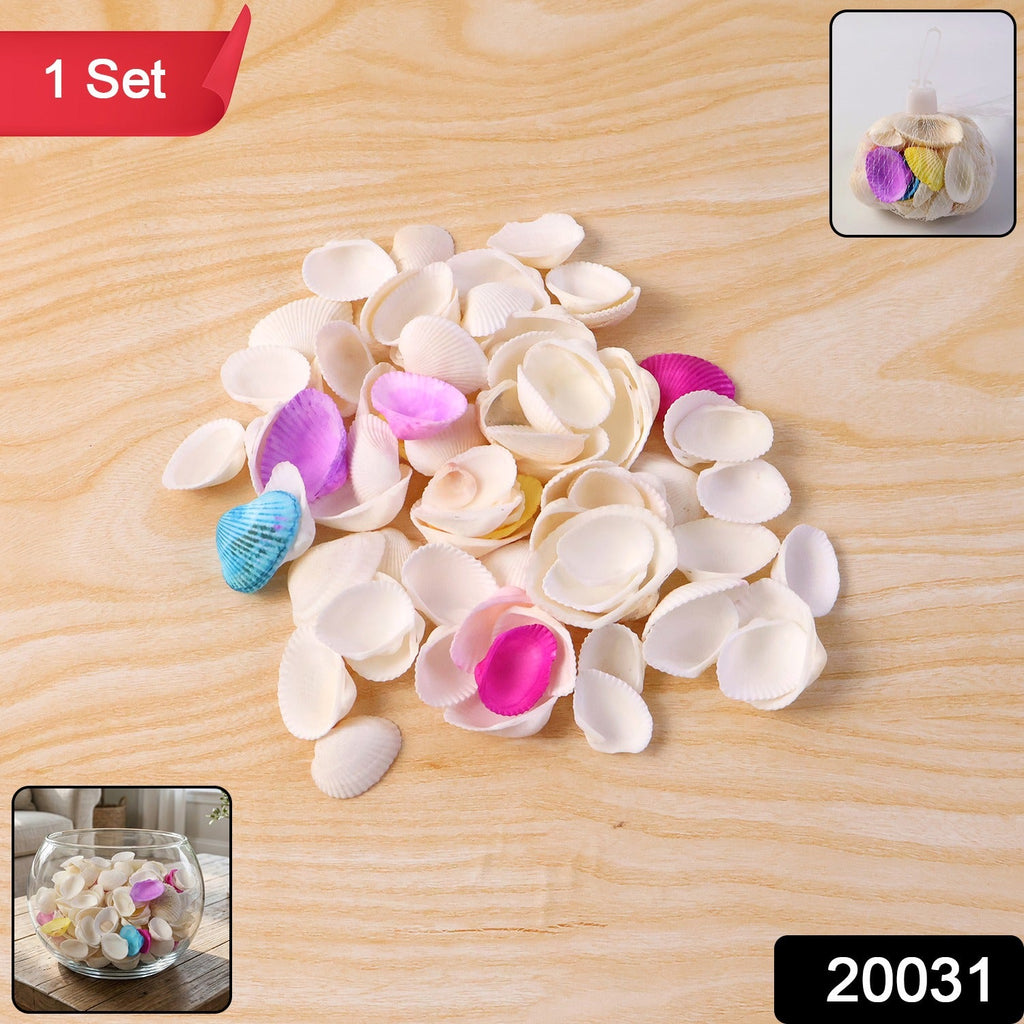 Decorative seashells set shown for vase filling and tabletop decoration