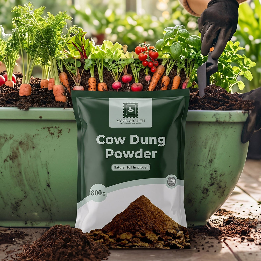 Organic cow dung powder 800g, natural soil improver and manure for plants (1 pc)