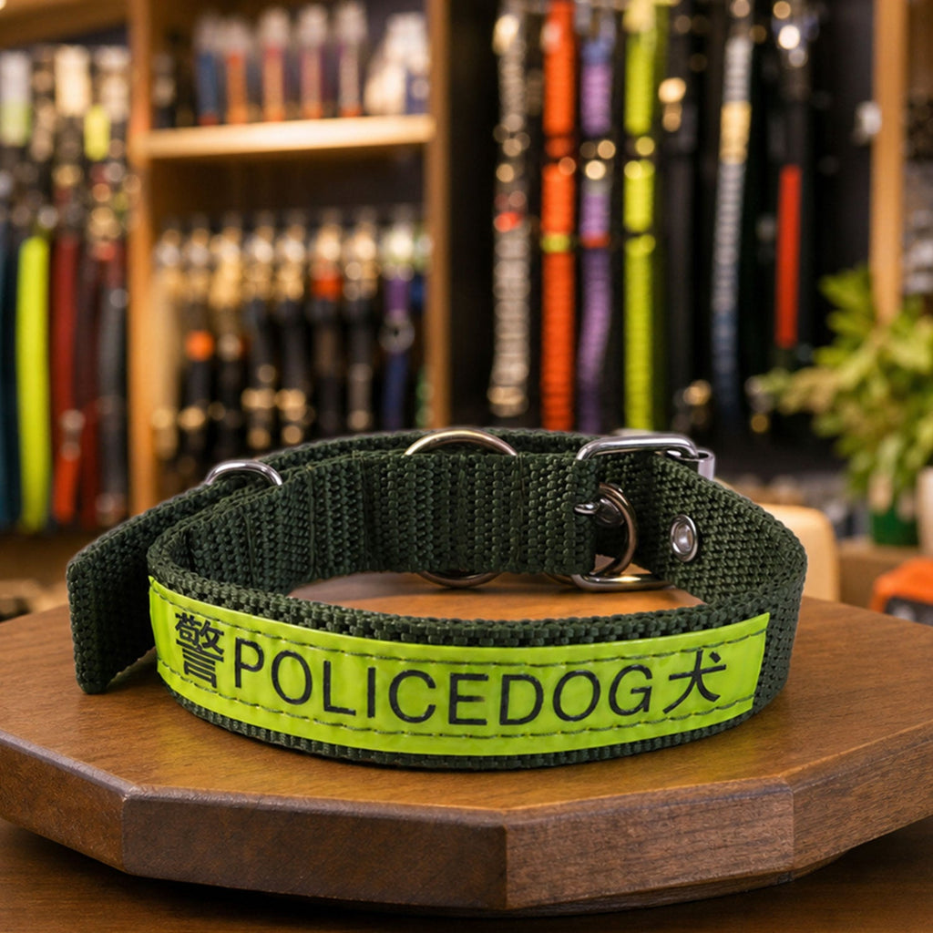 Heavy duty nylon dog collar with metal buckle and reflective stripe.