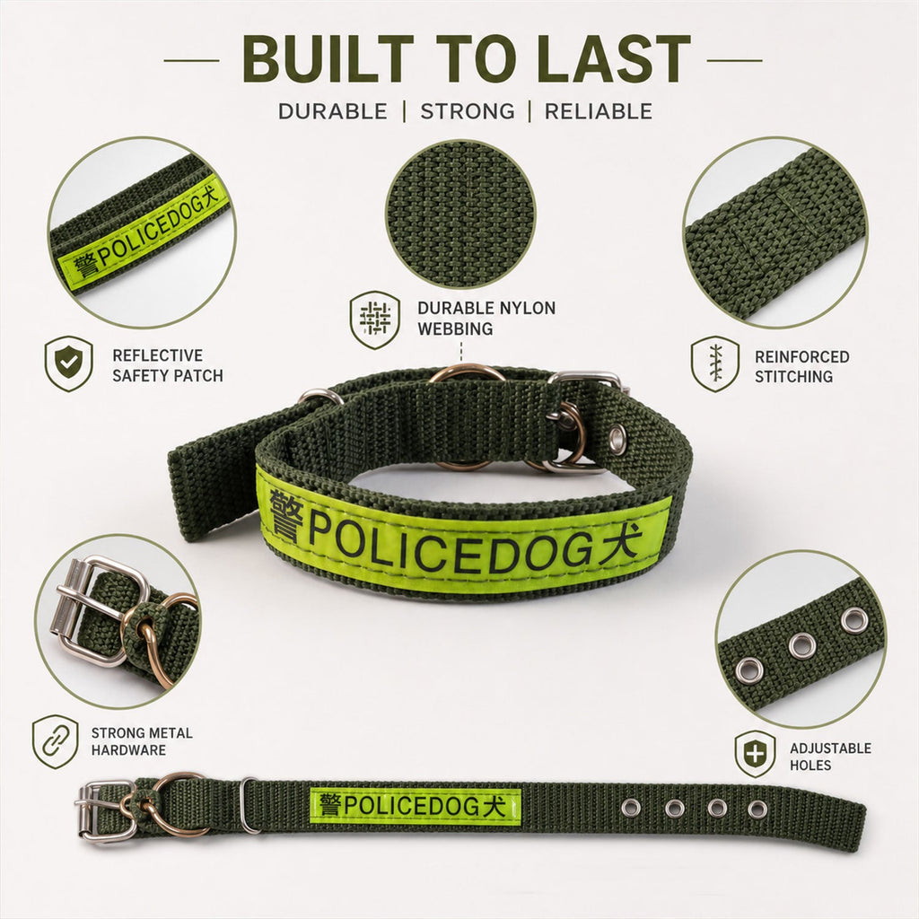 Close up view of the adjustable strap and sturdy metal buckle on a dog collar.