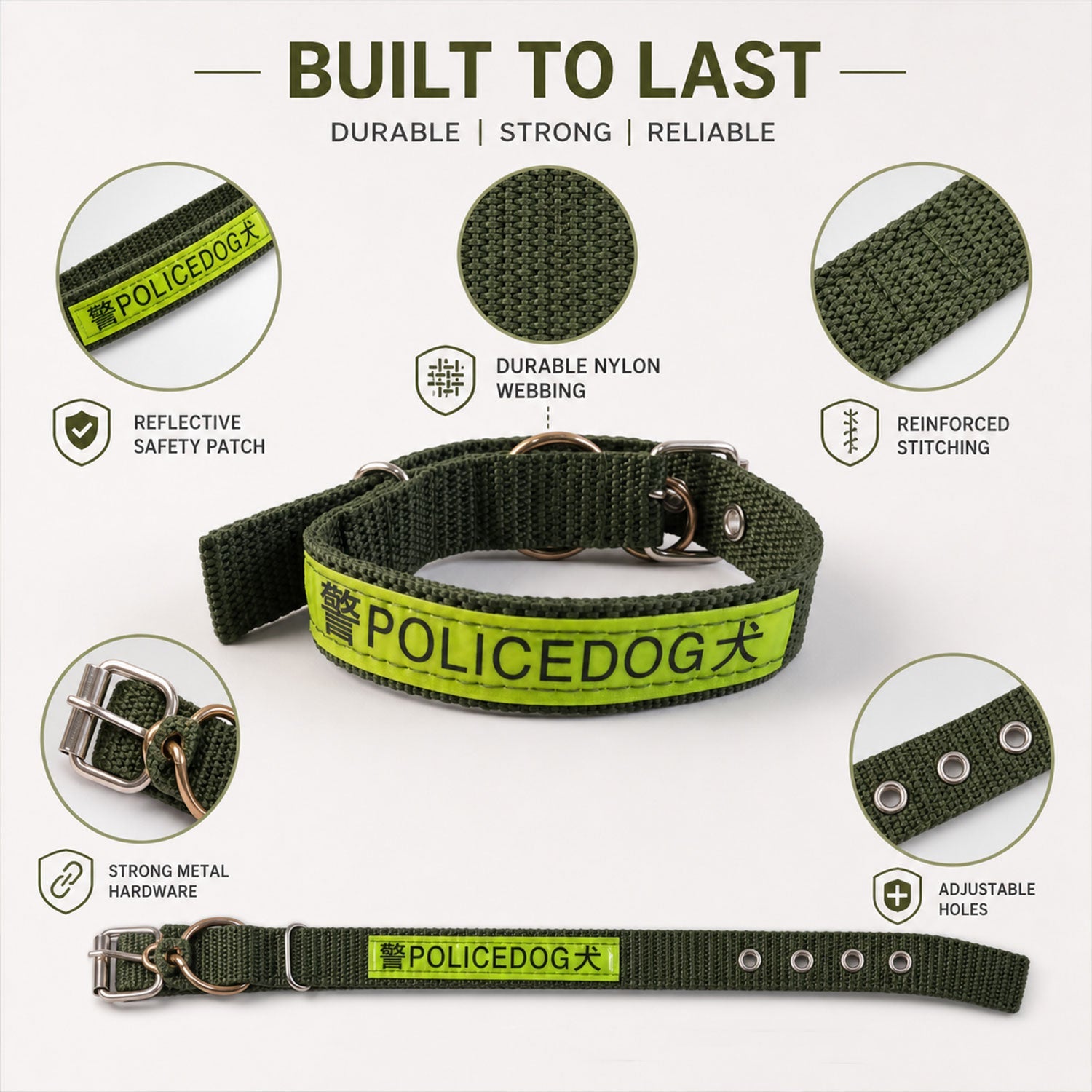 Close up view of the adjustable strap and sturdy metal buckle on a dog collar.