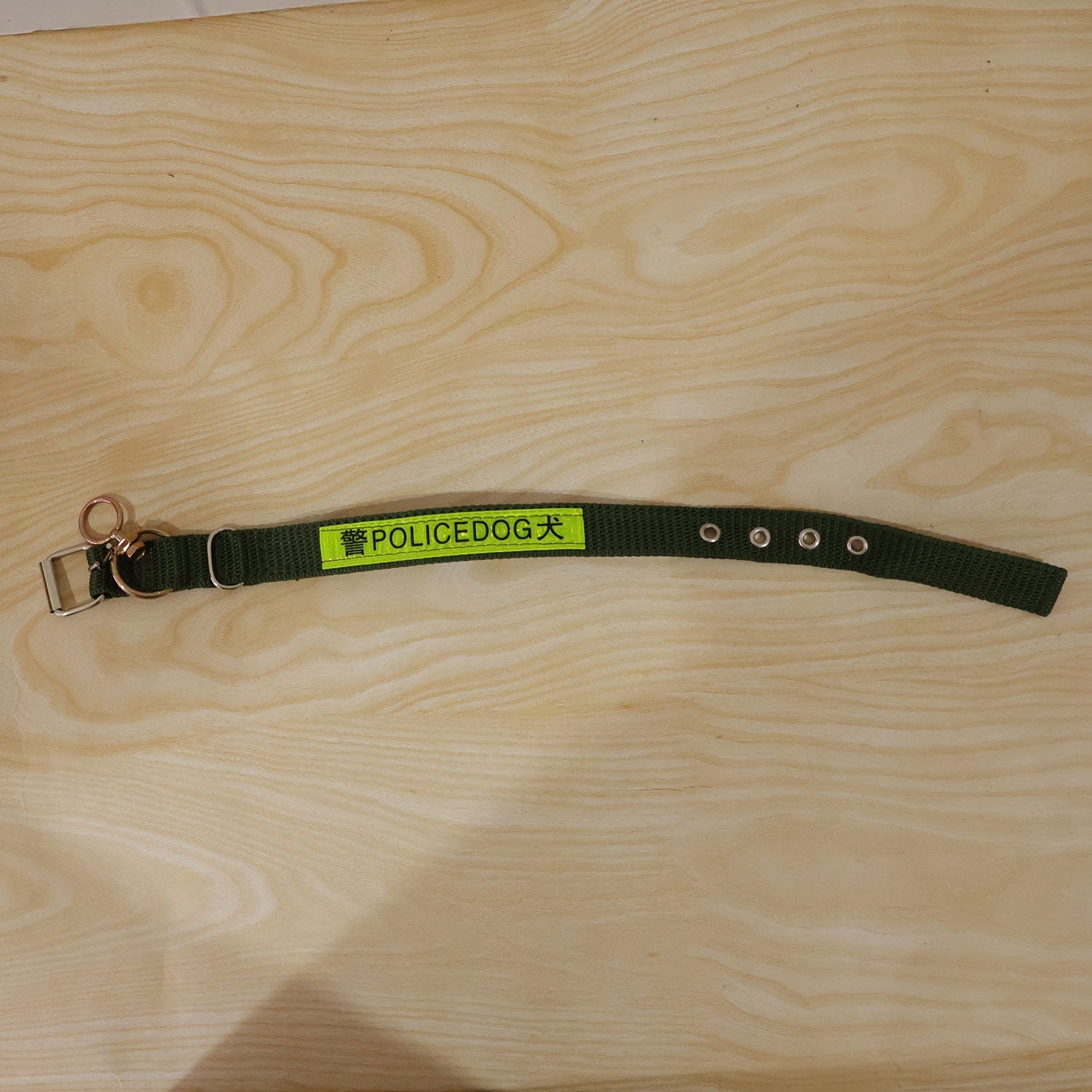 An active dog comfortably wearing the reflective heavy duty nylon collar outdoors.