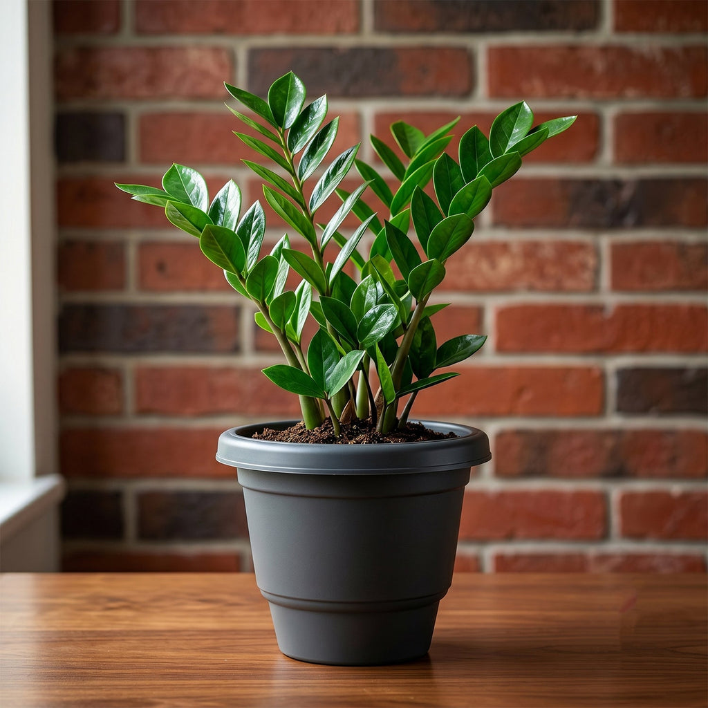 Indoor outdoor garden planters