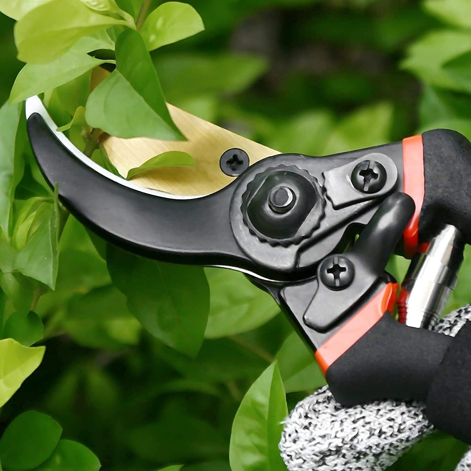 Flower Cutter Stainless Steel 21 Cm Sharp Shear for Flowers Plants (1 Pc)