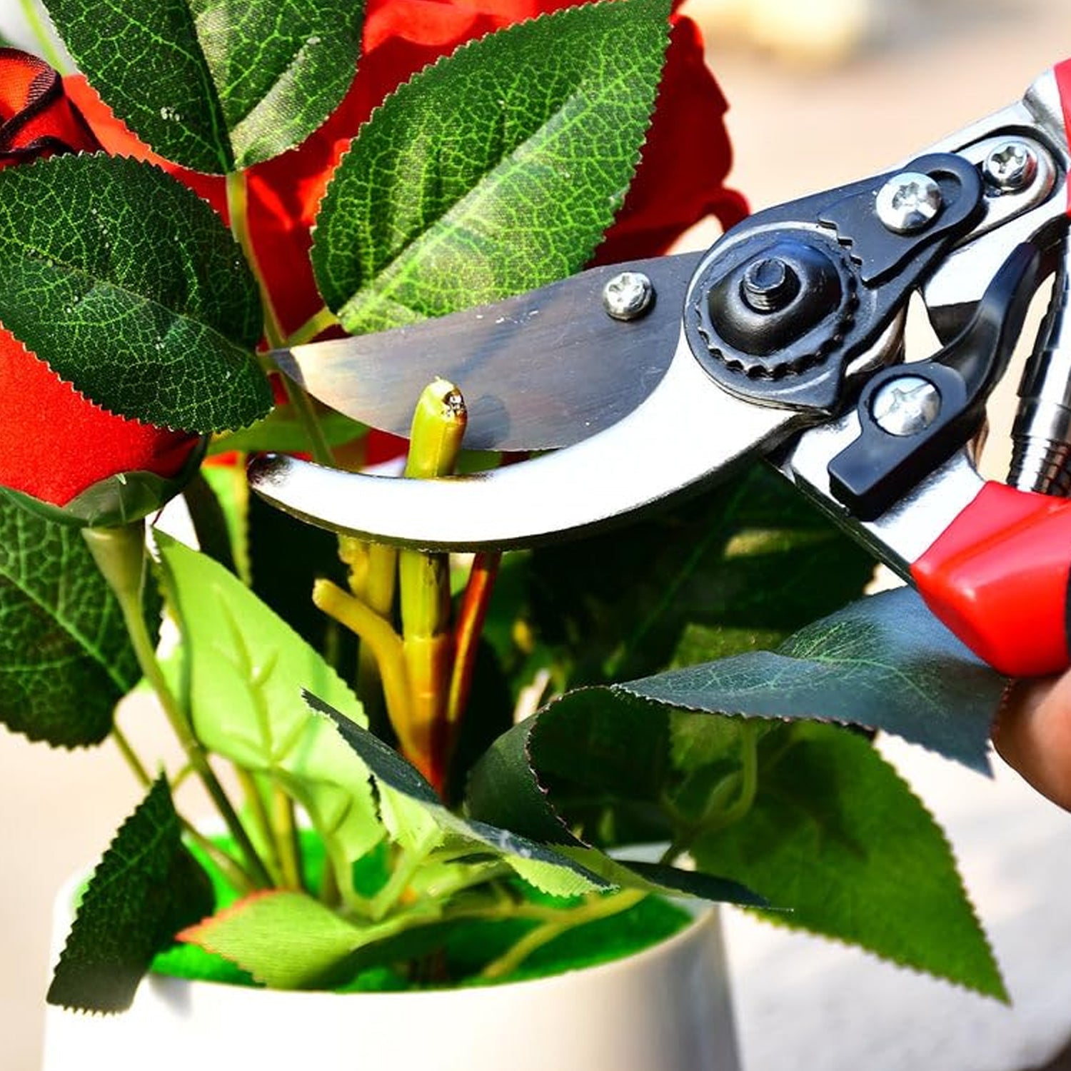 Garden Shear Stainless Steel 21 Cm Sharp Bypass Pruner for Plants (1 Pc)