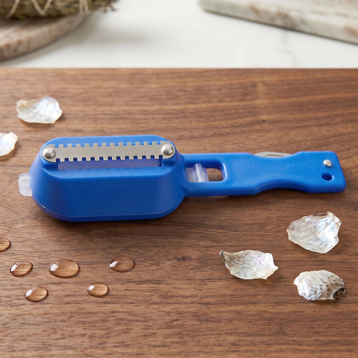 Durable fish scale scraper for seafood preparation in the kitchen