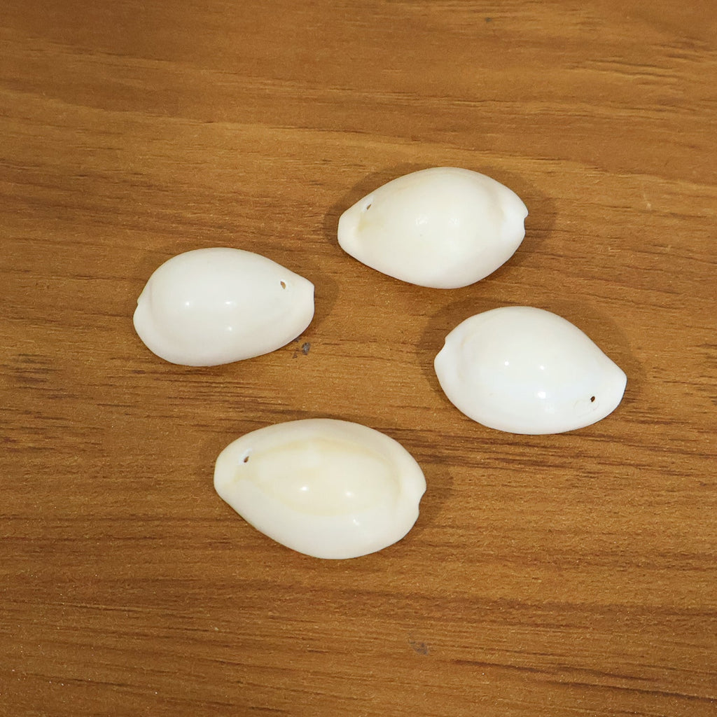 Natural sea shells ideal for pooja and festival decoration