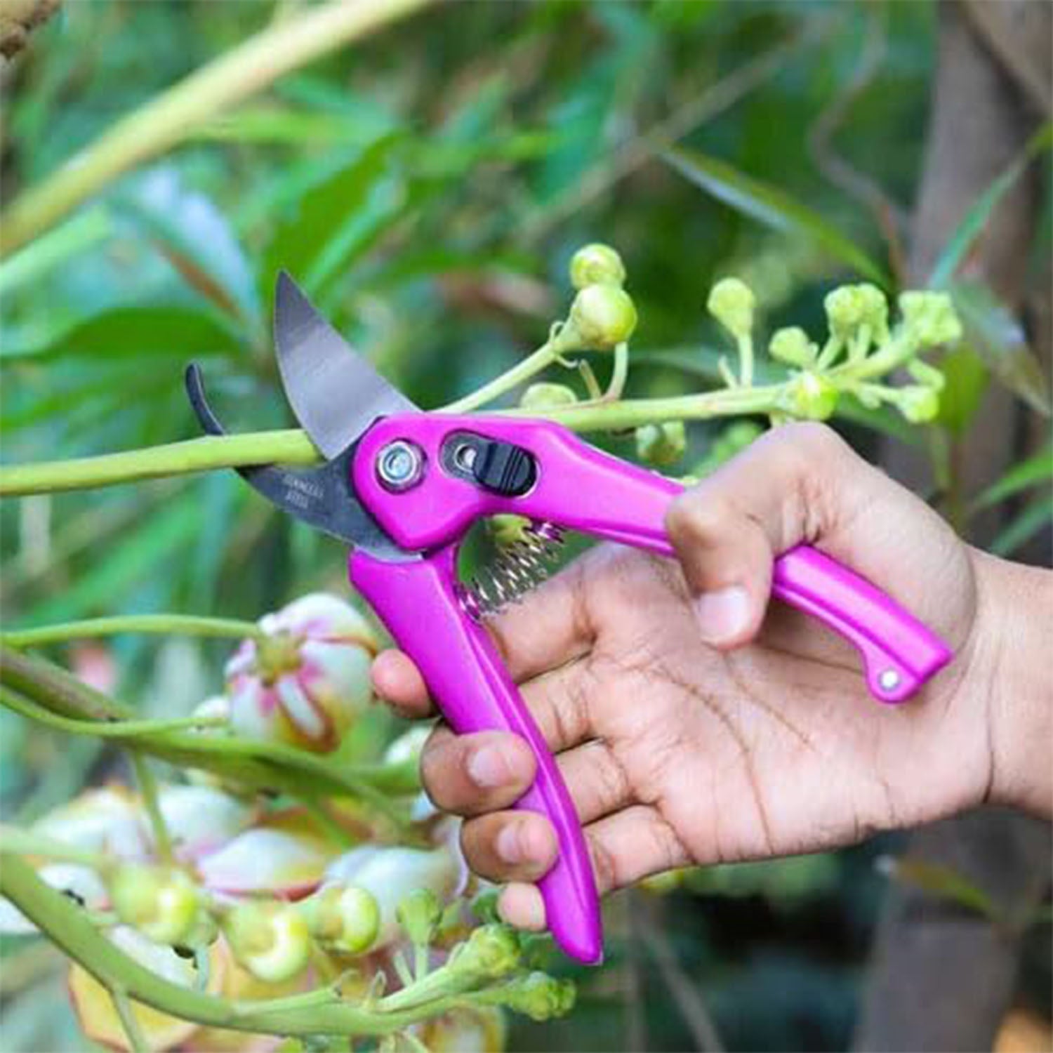 Flower Cutter Garden Scissors Stainless Steel Pruner Soft Grip (1 Pc)