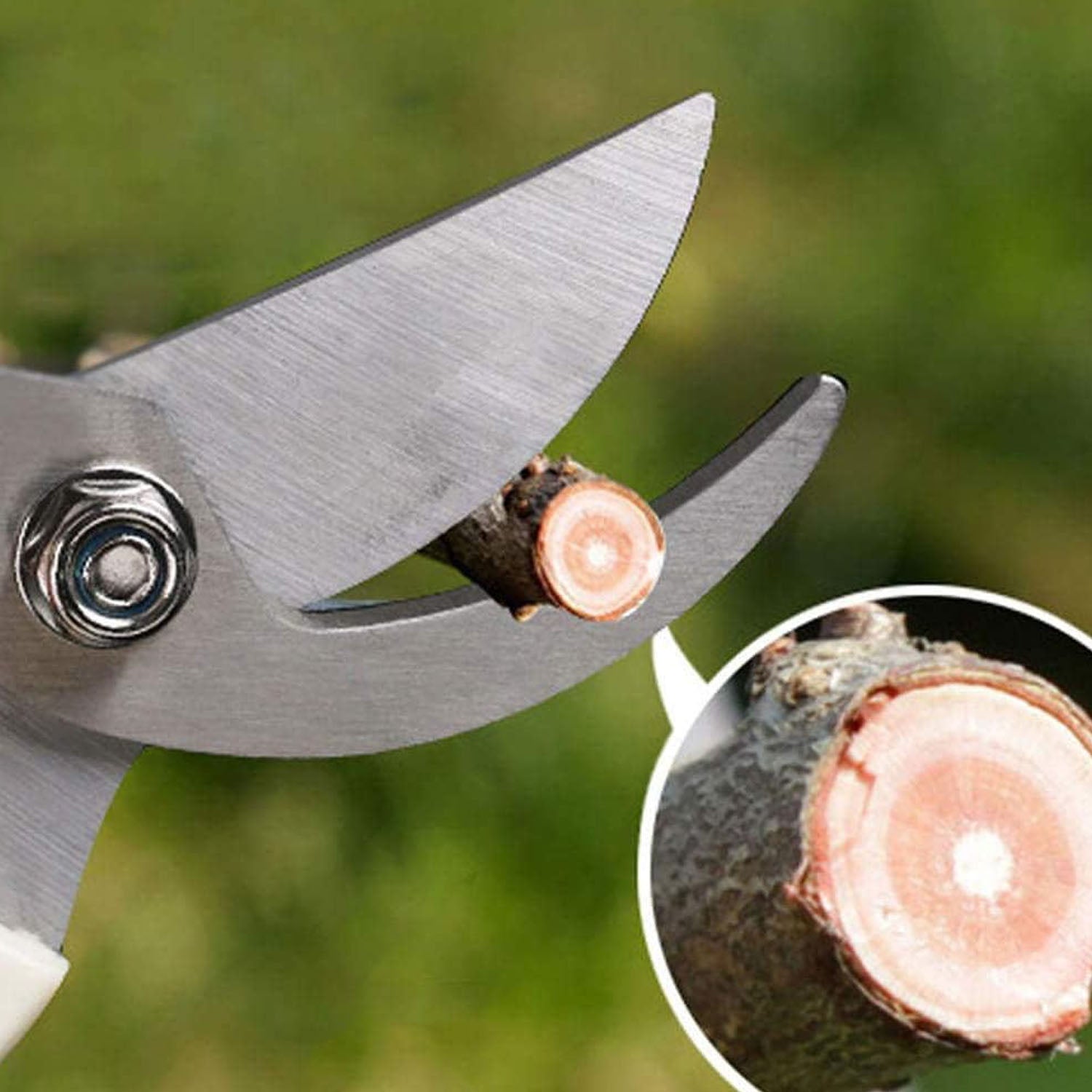 Flower Cutter Garden Scissors Stainless Steel Pruner Soft Grip (1 Pc)