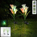 Set of two solar garden flower lights glowing with multicolour LEDs in outdoor setting