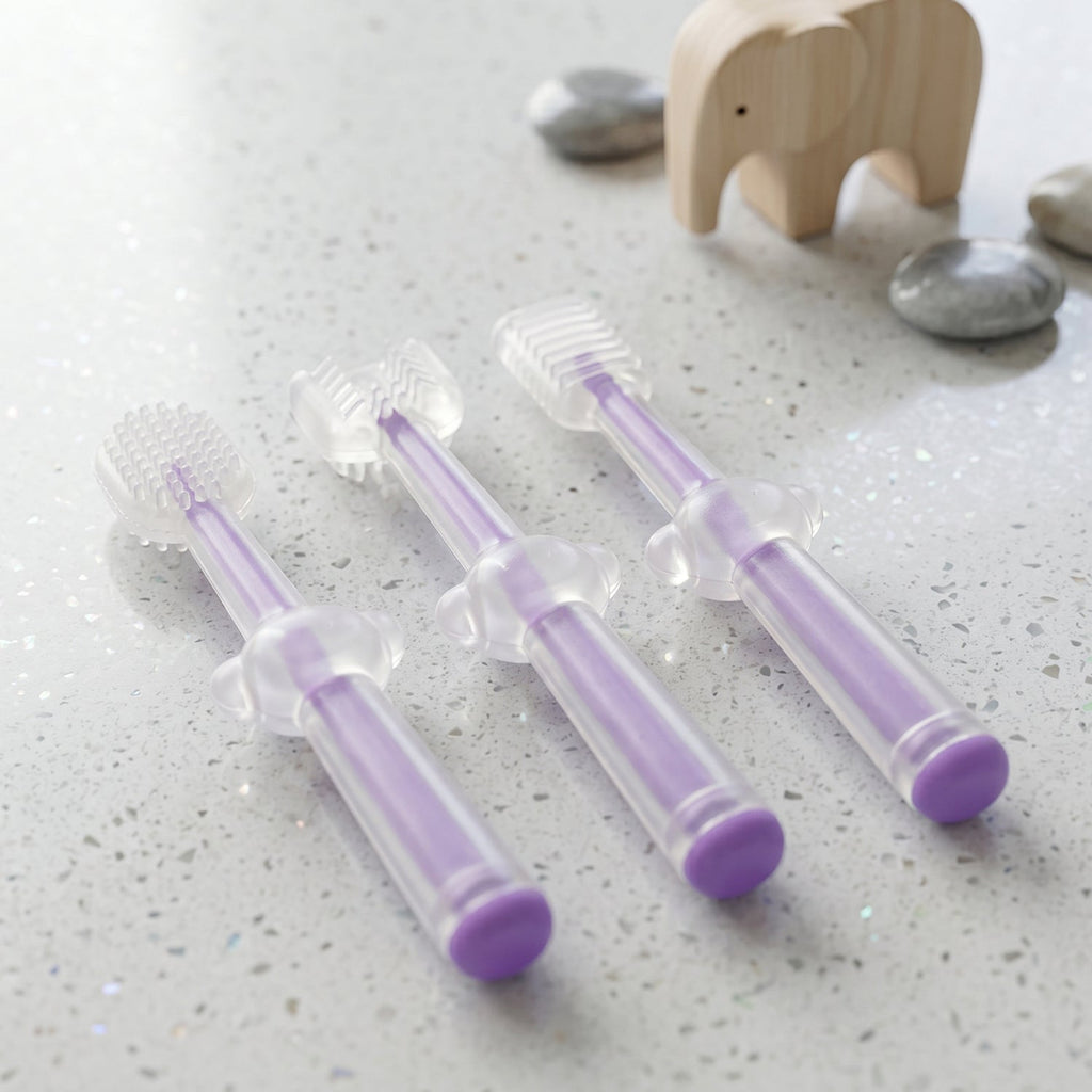 Toothbrush case feature view